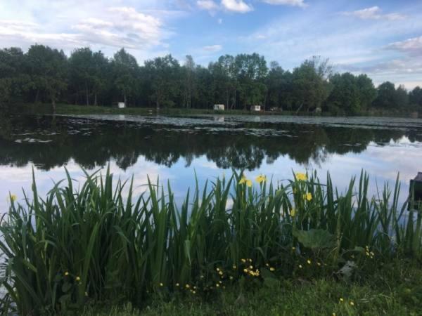 Pokoje Kama Villa Zator Bagian luar foto