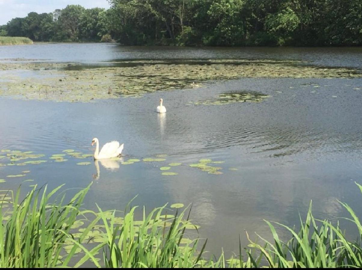 Pokoje Kama Villa Zator Bagian luar foto